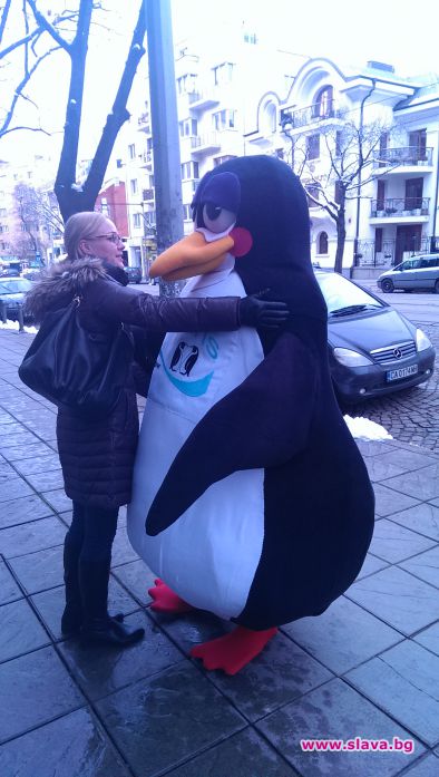 Дичо празнува 8 декември с пиян пингвин