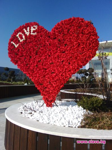 Най-голямото сърце за Св.Валентин цъфна в Бургас