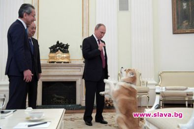 Путин най-близък с кучето си Юме