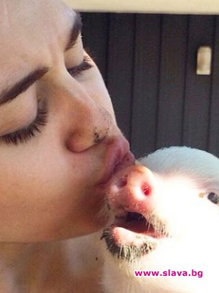 Майли Сайръс ходи на СПА с прасенцето си