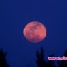 Кървавата луна този месец - най-дългото лунно затъмнение на 21-ви век 