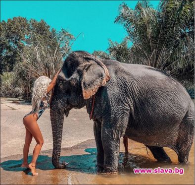 Андреа се гушка със слон 