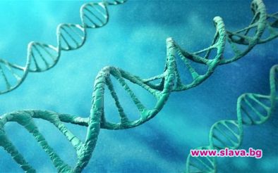 Учени откриха ДНК ключ за регенерация на цялото тяло