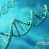 Учени откриха ДНК ключ за регенерация на цялото тяло