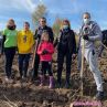 5000 фиданки засадиха този уикенд в Новата гора на София
