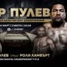 бТВ излъчва боксовата гала вечер на Кубрат и Тервел Пулеви на 30 март
