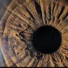 Човешкото око е вълшебен друг свят: Фото на деня