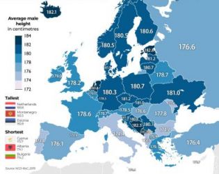 Само албанците са по-ниски от нас в Европа: Фотофакт