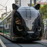 Трамвай-котка, Япония: Фото на деня