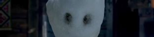 gallery_56905.jpg