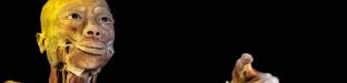 gallery_59177.jpg