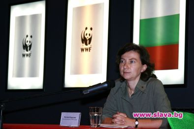 WWF стартира национална кампания за опазване на горите в България