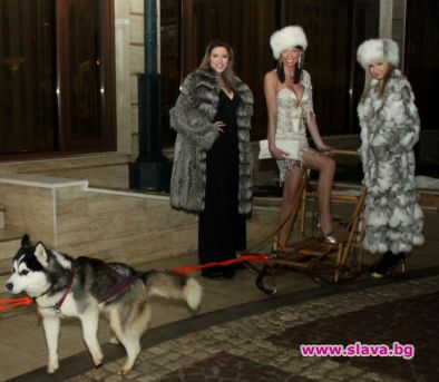 Топ модела Петя Велкова пристигна с впряг от хъскита на руската вечер в пиано бар „Алиас”