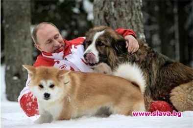 Путин подари кученца на руски ученици за Коледа