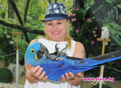 Тони Димитрова се радва на папагали от три континента
