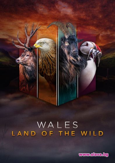 Уелс: Дивата земя тръгва по Viasat Nature