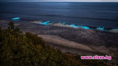 Ето защо гребените на крайбрежните вълни светят в синьо през нощта