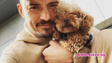 Орландо Блум обяви награда за изгубеното си куче