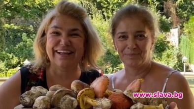 Фенове спасиха Катето Евро и Марта Вачкова от натравяне с гъби