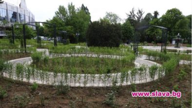 Ремонтират историческата част на Борисовата градина с 10 млн. лева