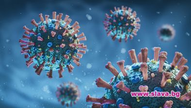 К19 ще стане настинка като останалите к-вируси: Science