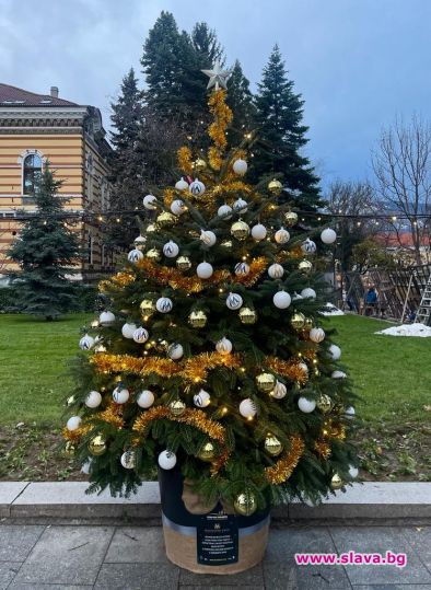 37 магични елхи на таланта грейнаха в София