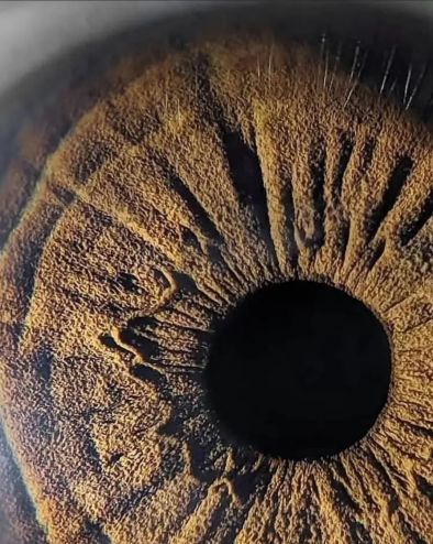 Човешкото око е вълшебен друг свят: Фото на деня