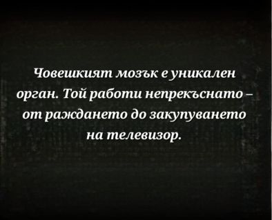 Човешкият мозък работи непрекъснато от раждането до закупуването на телевизор