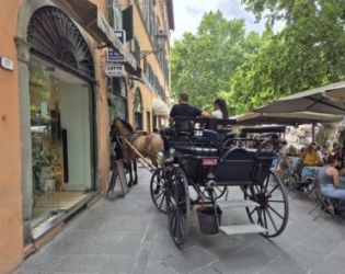 По-добра пица от неаполската и овален площад: Лука е прелест (Фотогалерия)
