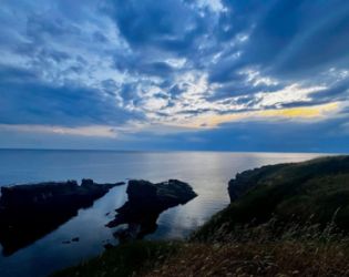 Джулай на Синеморец: ФОТО НА ДЕНЯ