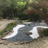 Японската градина в столичния Зоопарк е изцяло възстановена